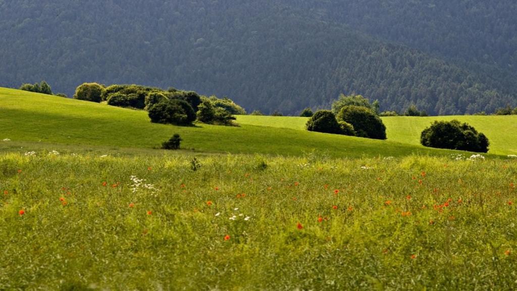 Penzion Mlynarov Dvor Dubrava Exterior foto
